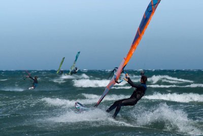Line of Wind  Surfers
