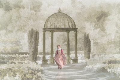 Beauty in the Garden