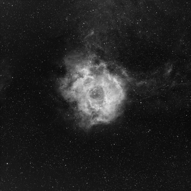 rossette.tif