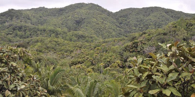 Valle de Mai