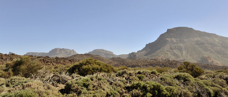 Teide landscape.