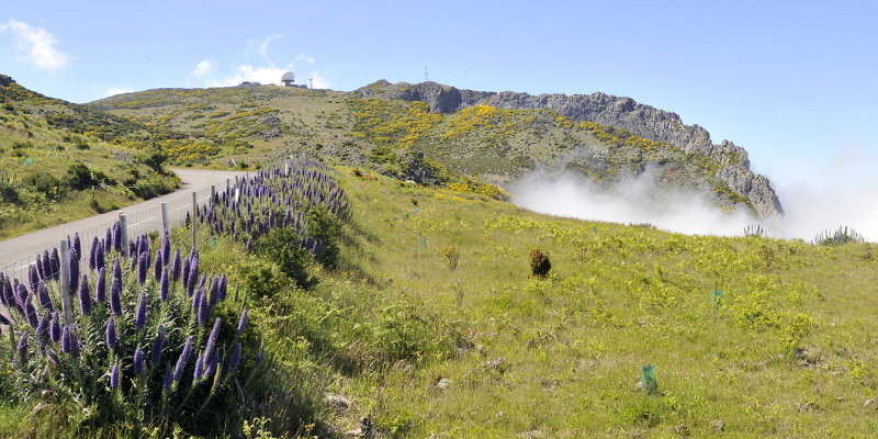 High altitude Madeira.jpg