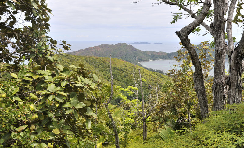 Praslin lookout.
