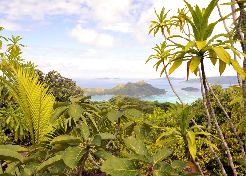 Praslin lookout