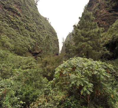 Misty mountains near Guimar.