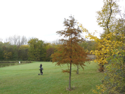 Mga09102613Pb.jpg