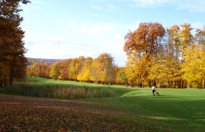 Mga11110201pb.jpg