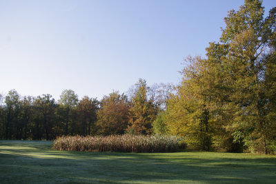 Mga13101923pb.jpg