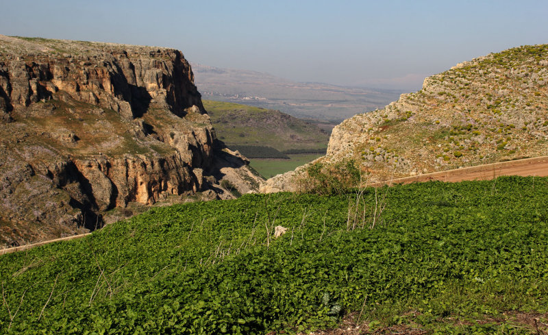 Arbel_2-2-2017 (141).JPG