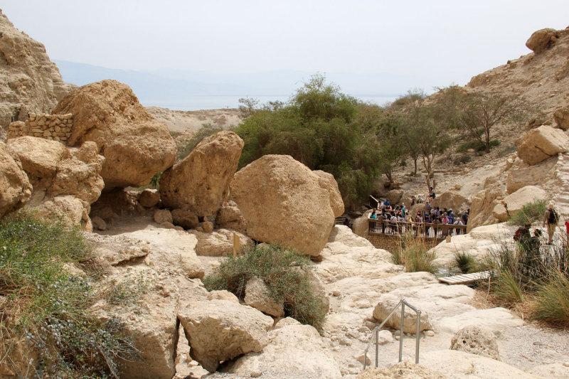 Ein-Gedi_17-3-2017 (64).JPG