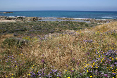 Nahariya_20-4-2017 (28).JPG