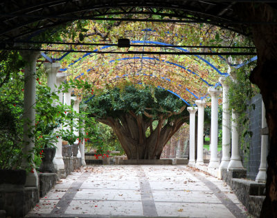 Kfar-Nahum_3-12-2014 (98).JPG
