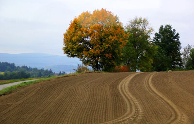 Czech Landscape_1-10-2017 (203).JPG