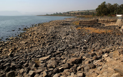 Kfar Nahum_15-11-2017 (36).JPG