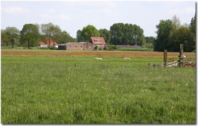 Friesland_10-5-2009 (1).jpg