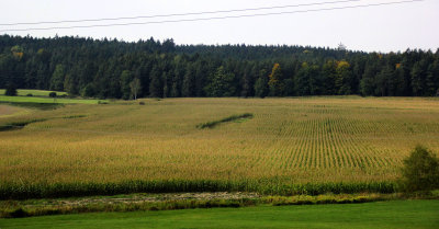 Czech Landscape_1-10-2017 (175).JPG