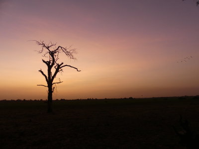 P1000145.JPG