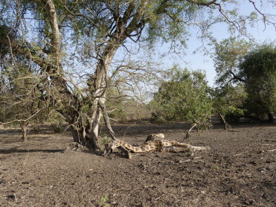 P1000195.JPG