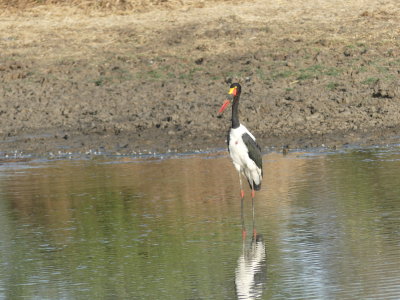 P1000183.JPG