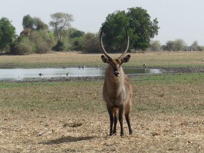 P1000244.JPG
