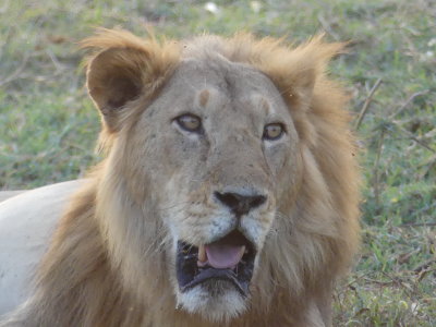 P1000439.JPG
