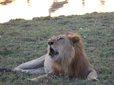P1000451.JPG