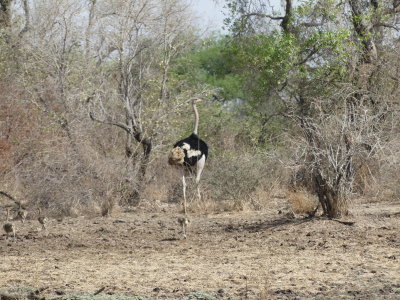 P1000545.JPG