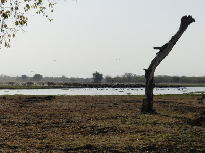 P1000637.JPG