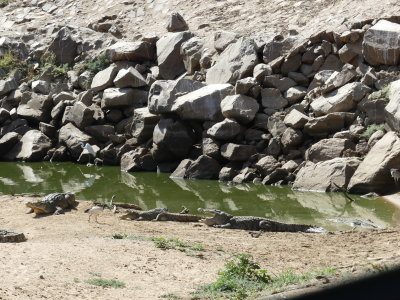 P1000690.JPG