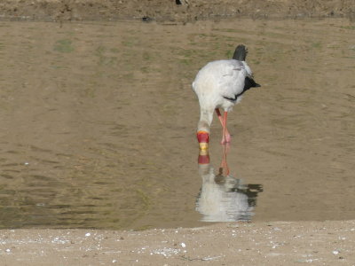 P1000734.JPG