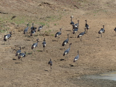 P1000805.JPG