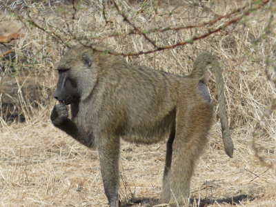 P1000835.JPG