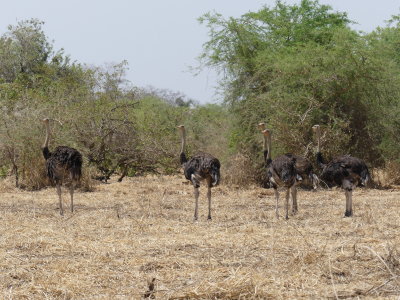 P1000884.JPG