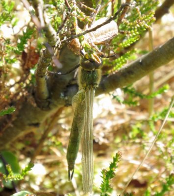 g10/49/1202049/3/168567031.xoNHUKZN.jpg
