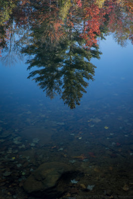 Fall Colors of Vermont