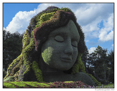 Mother Earth