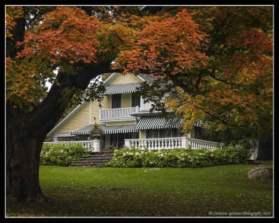 Fall Rhapsody 2018 - Mackenzie King Estate