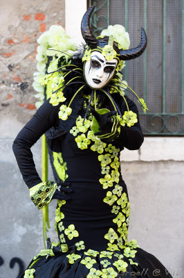 Venise 2017_1868_openWith.jpg