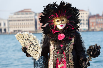 Venise 2017_2132_openWith.jpg