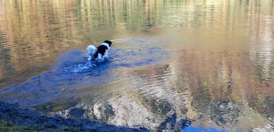 Joly in the Klntalersee / Lake Klntal