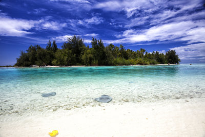 Un motu a Moorea avec les raies