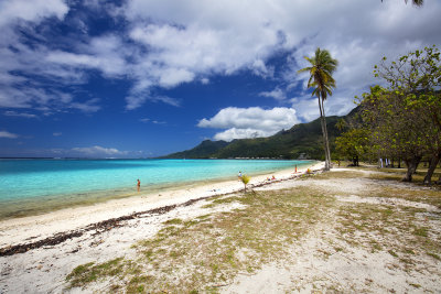 La plage de Temae