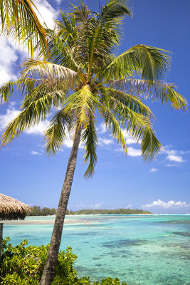 L'intercontinental  Moorea