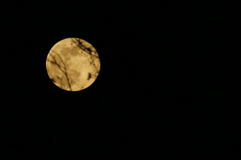 Big full moon rising