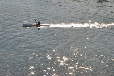 Kayaker on morning cruise