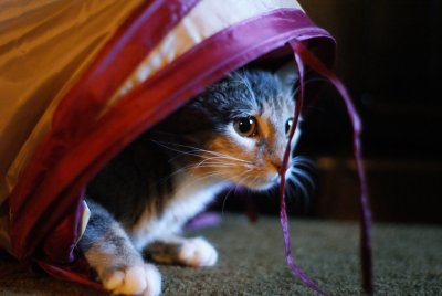 Mickey in tube, ISO1600