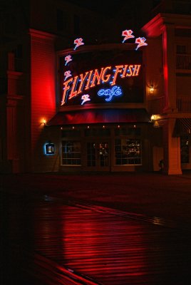 Flying Fish cafe