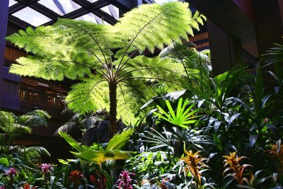 Polynesian atrium detail