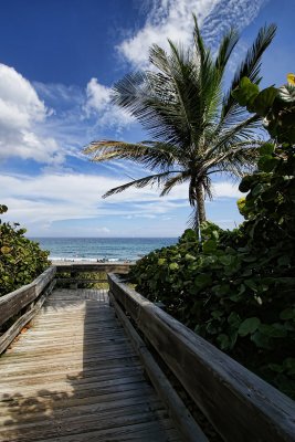 Boca Beach access boardwalk