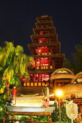 Tiki room night